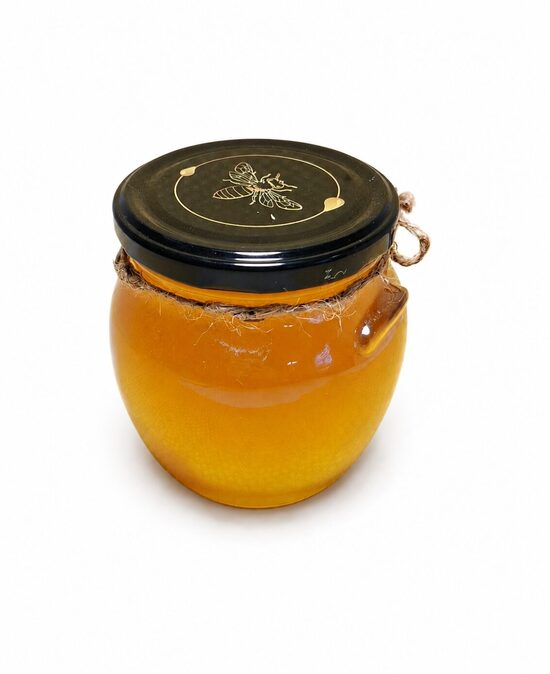 BIO HONEY 700gr (spring 2025.)